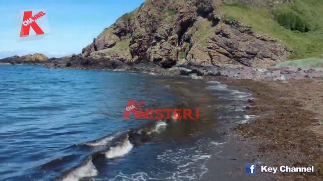 KELUARGA PERKAWINAN SEDAR4H PEMBUNVH 1000 MANUSIA UNTUK S4NTAPAN HARIANNYA смотреть онлайн