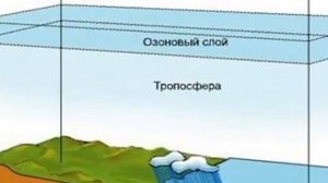 11 класс. Биология. Биосфера. Биогеохимические функции живого вещества