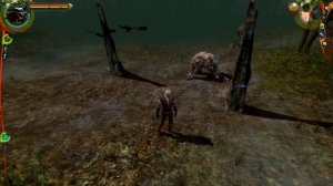 Как убить голема Ведьмак 1 ( последовательность )