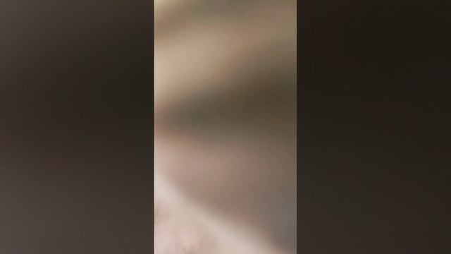 Украшаем окно часть 2 #врек #эстетика #новыйгод #украшения смотреть онлайн