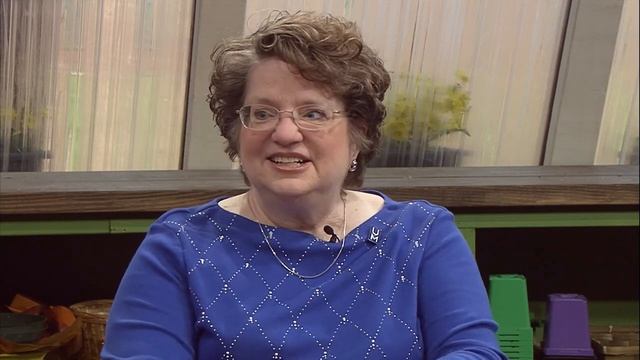 Q&A – What are these little worms in my home? смотреть онлайн