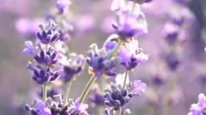 ҚАЗАҚША ӘНДЕР 2024 ♥️ Қазақстанның ең үздік әндері 2024 ♥️ Барлық Ең Үздік Жаңа Хит Әндер