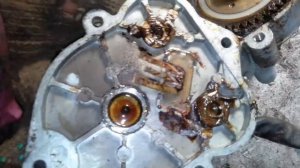 Непослушные дворники Калина