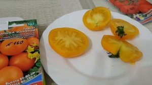 Томат Санька золотой 2021