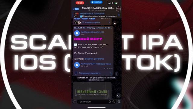 КАК СКАЧАТЬ ESIGN В 2024 году?