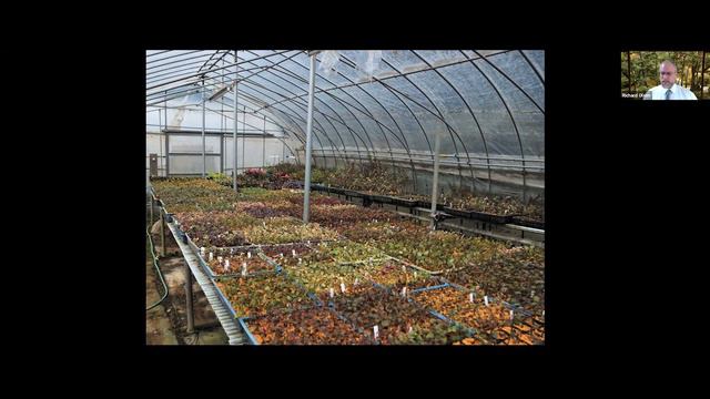 Digging In: Delayed Value of Plant Introductions смотреть онлайн