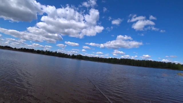 Приманок МНОГО, а ловит ТОЛЬКО ОДНА. РЫБАЛКА НА СПИННИНГ весной. смотреть онлайн