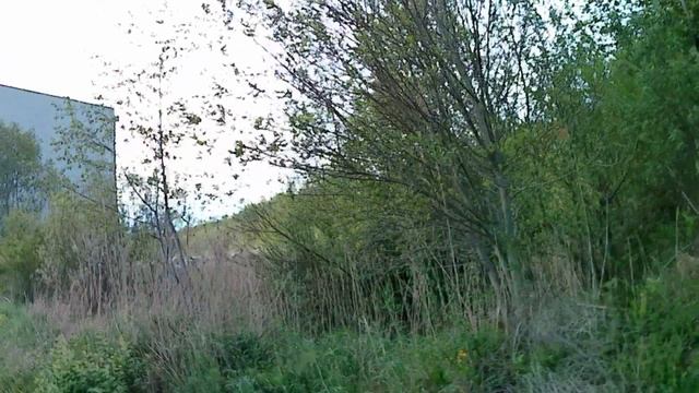 ЖД путь ЗСК город Боровичи.mp4