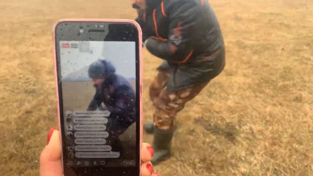 Правильные игры с собакой. Как играть и какие игрушки можно использовать. смотреть онлайн