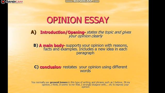 Expressing & Justifying Opinions About 2D Games;  An Opinion Essay