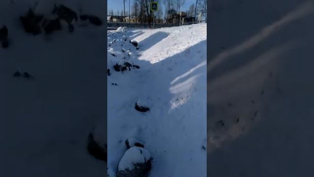 Автовокзал Витебск МАЗ 215 смотреть онлайн