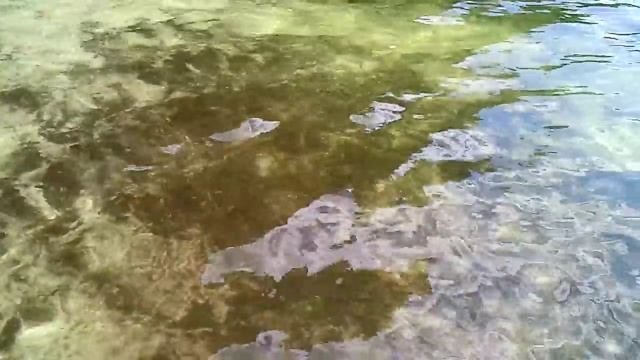 Czyste jeziorko w środku lasu. (Mazury) смотреть онлайн