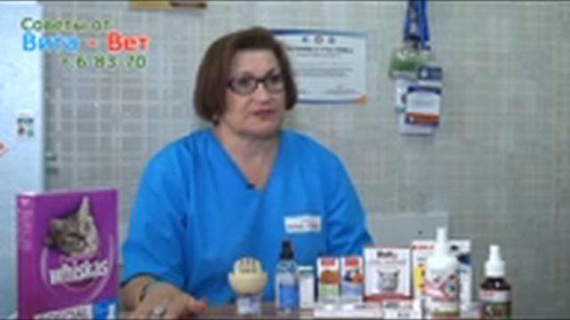 СОВЕТЫ ОТ ВИТА - ВЕТ ОТ 28 ИЮЛЯ смотреть онлайн