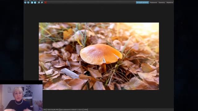 2 сентября Гороскоп для всех знаков зодиака смотреть онлайн