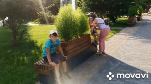 Томск 2020 лето горсад, набережная Томи,Белое озеро.