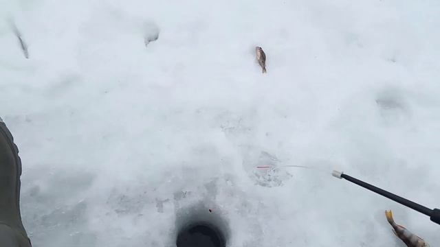 рыбалка зимой на реке смотреть онлайн