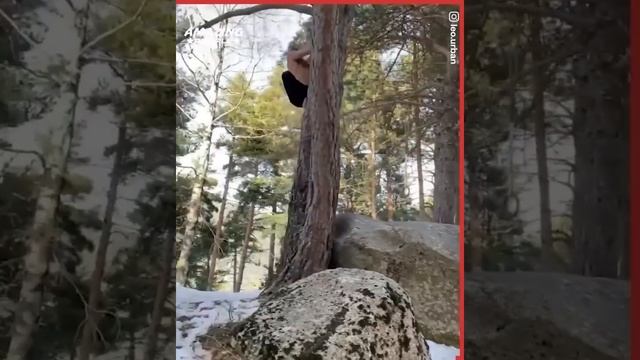 He's The Real TARZAN ? смотреть онлайн