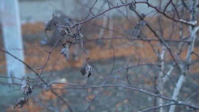 Как дышат Серной Кислотой / Самый загрязненный Город планеты / Карабаш / Лядов с Места Событий смотреть онлайн