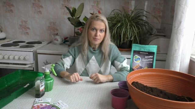 Сеем примулы на рассаду смотреть онлайн