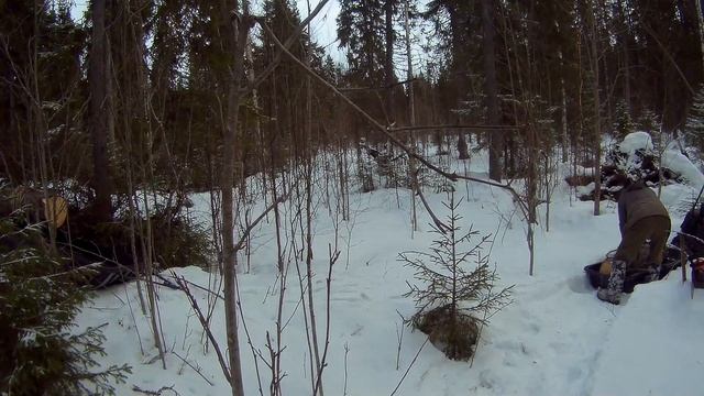 дрова сезон закончен дача под Архангельском смотреть онлайн