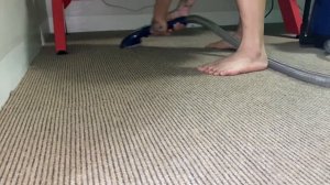 Deerma BY200 Multi-purpose Carpet and Upholstery Cleaner | Wet and dry Vacuum for sofa or Carpet