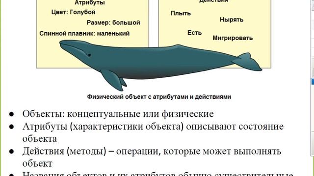Лекция 1 (Введения в JAVA) ATAUGXVI смотреть онлайн