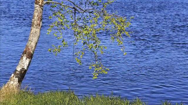 Красавица - Карелия смотреть онлайн