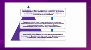 Биология. 7 класс. Работоспособность. Режим дня /09.03.2021/