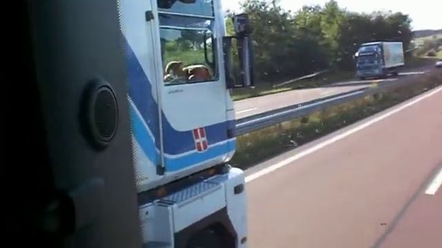 magnum 480 DXCI vs dadyouh en scania R420 смотреть онлайн