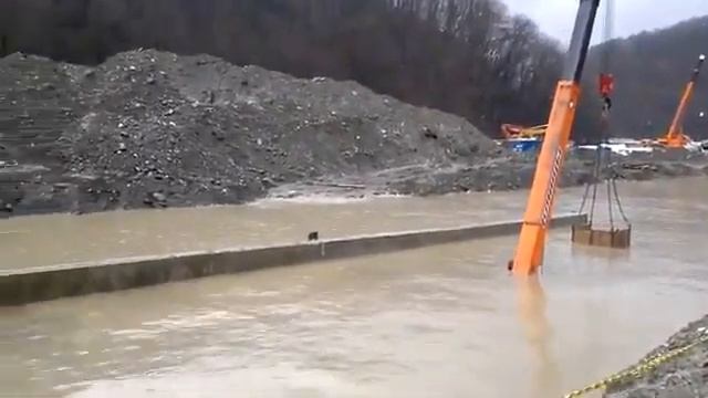 В Сочи после дождика Кормушка Уникальное Фото Видео Приколы Гифки смотреть онлайн