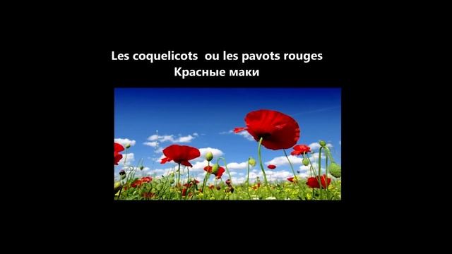 Vocabulaire français. Fleurs de printemps. Французская лексика. Названия весенних цветов. смотреть онлайн