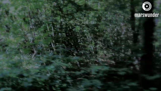 TOD IM WALD - Ein Song Von Marswunder (gebastelt Mit GarageBand IOS)