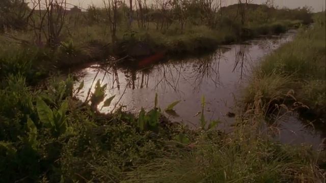 Дикая природа Германии Немецкий Дунай смотреть онлайн