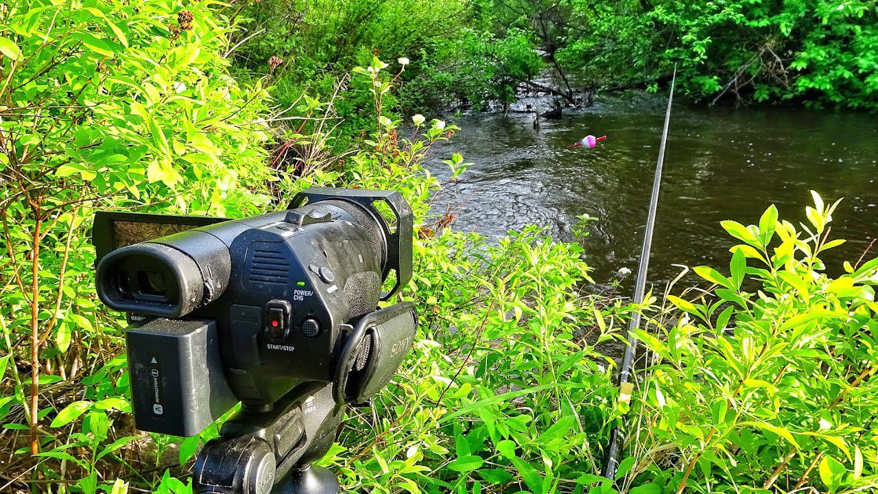 ДА СКОЛЬКО ИХ ТУТ! ЗАЛЕЗ В ДЕБРИ ЗА КАРАСЁМ А НАШЁЛ ИХ! Рыбалка на дикой речке смотреть онлайн
