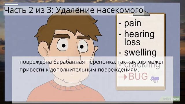 Как извлечь насекомое из уха смотреть онлайн