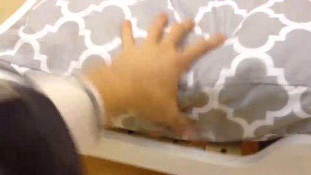 Лежанки для кошек и собак смотреть онлайн