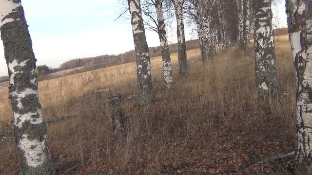 Бросай копать металл тебя ждёт здесь бандура какая-то смотреть онлайн