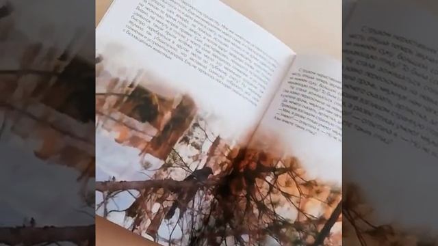 Майя Тропина "Сказки и рассказы байкальских берегов", кн. 3 смотреть онлайн
