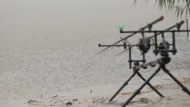 Как поймать линя? Где искать, на что и когда ловить. Секреты для удачной ловли линя летом. смотреть онлайн