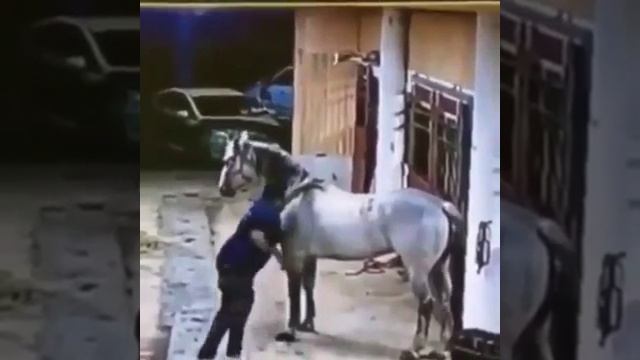 ??? смотреть онлайн