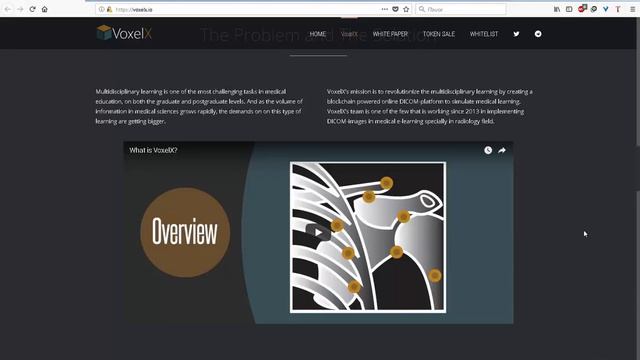 ICO Voxelx описание проекта