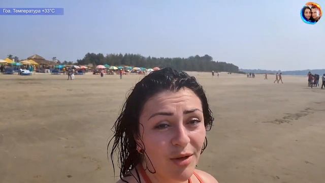#ГОА. Индия. Пляж Морджим. Рынок у пляжа Morjim Beach, цены на еду. смотреть онлайн