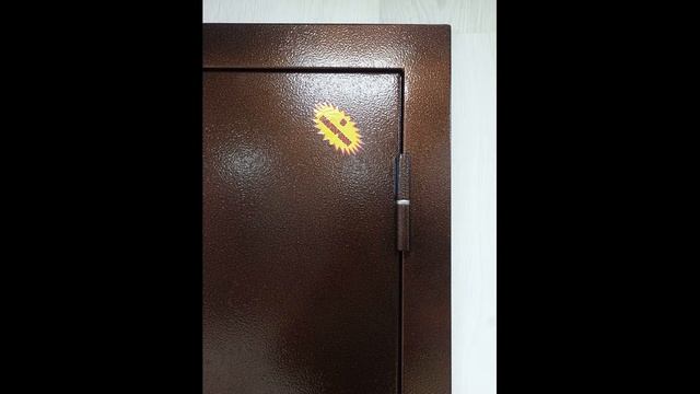 Металлическая дверь 