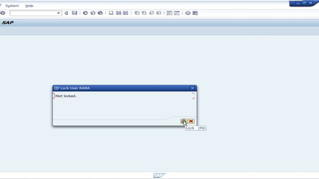 Lock and Unlock user in SAP смотреть онлайн