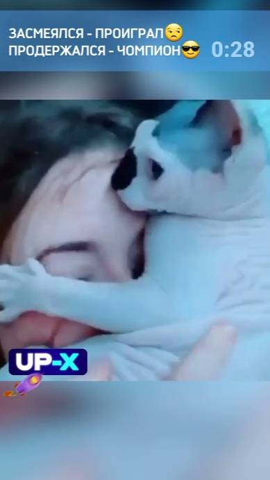 Смех до слез №34 - Лучшие Приколы 2024. #смешныевидео #shorts #ютубшортс #смех #приколы #мемы #мем смотреть онлайн