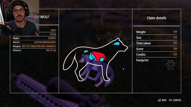 GRAY WOLF HUNTING!! | Hunting Simulator 2 смотреть онлайн