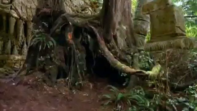 хф The Lost World Затерянный мир смотреть онлайн