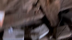 Как поймать мышь в машине