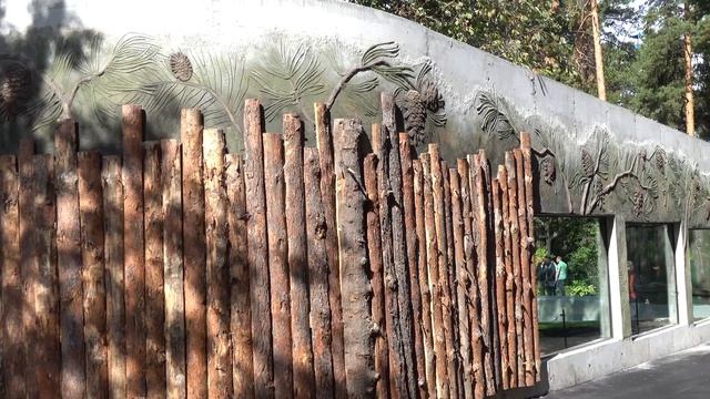 Открытие вольеров бурых и гималайских медведей в Новосибирском зоопарке (продолжение). 28.08.2022 смотреть онлайн