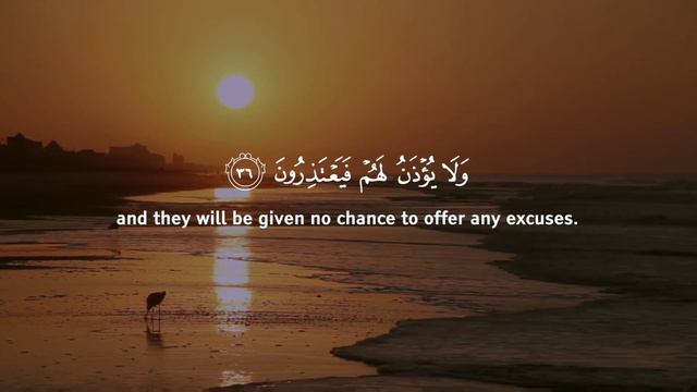 Al Quran, Surah Al Mursalat, Ayah (35 -37) - Omar Hisham - Friday Blessings смотреть онлайн